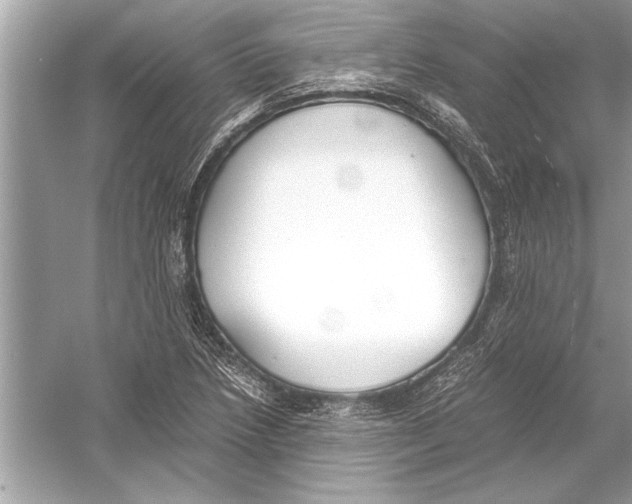 X0000051911218200507222059