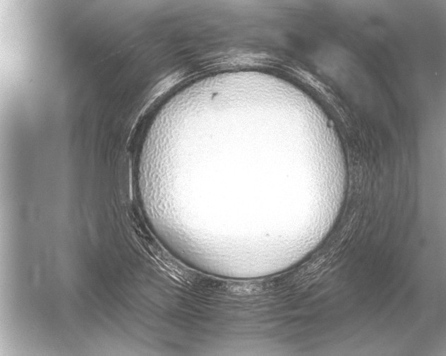 X0000051911219200507222059