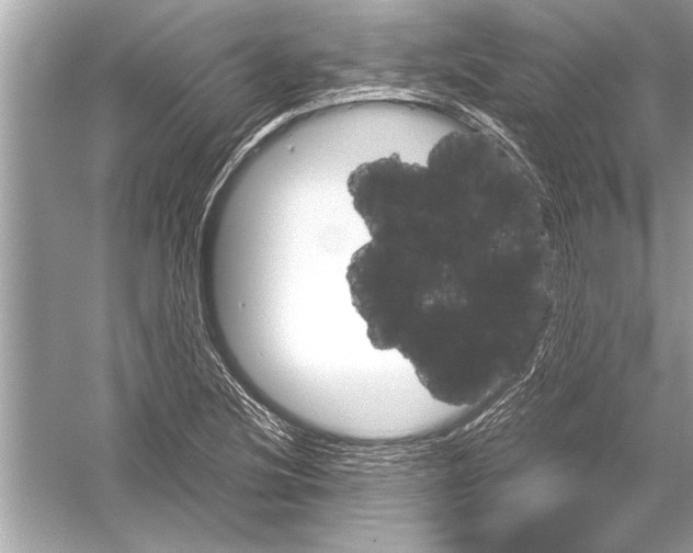 X0000051911220200507222059