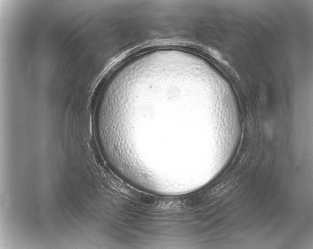 X0000051911221200507222059