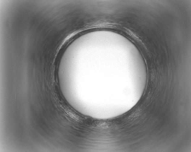 X0000051911222200507222059