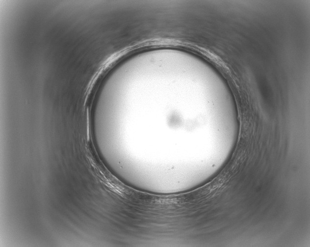 X0000051911223200507222059