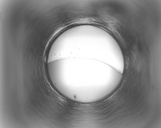 X0000051911224200507222059