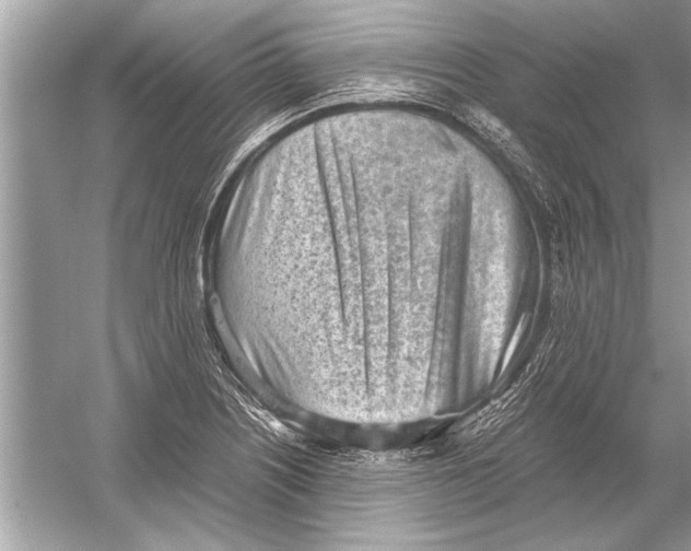 X0000051911226200507222059