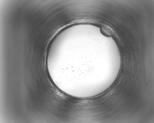 X0000051911228200507222059