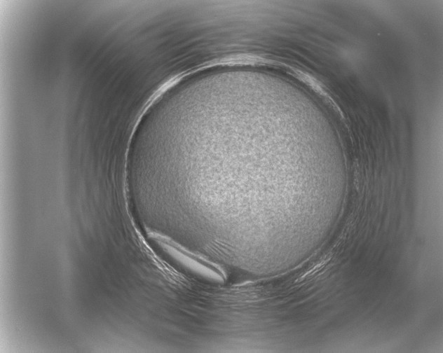 X0000051911229200507222059