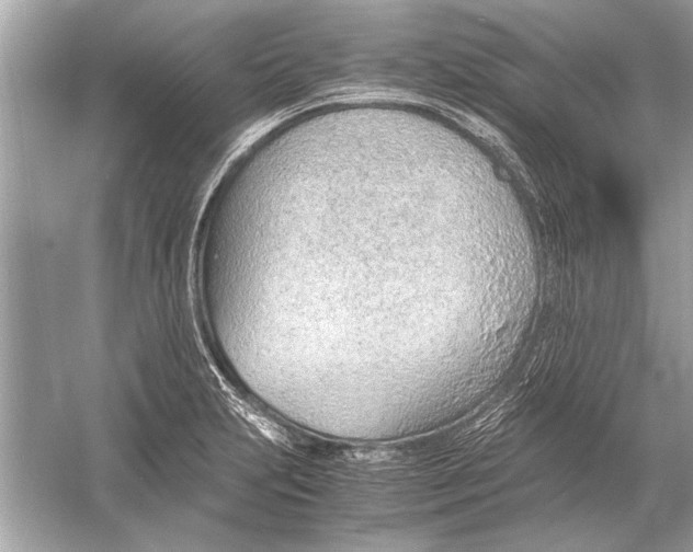 X0000051911231200507222059