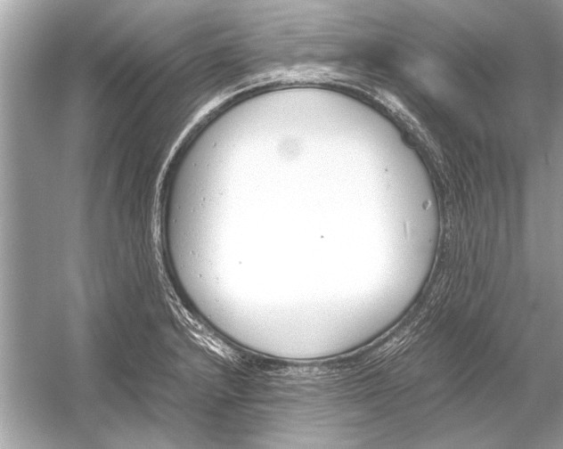 X0000051911232200507222059