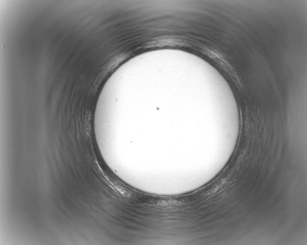 X0000051911233200507222059