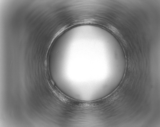 X0000051911234200507222059