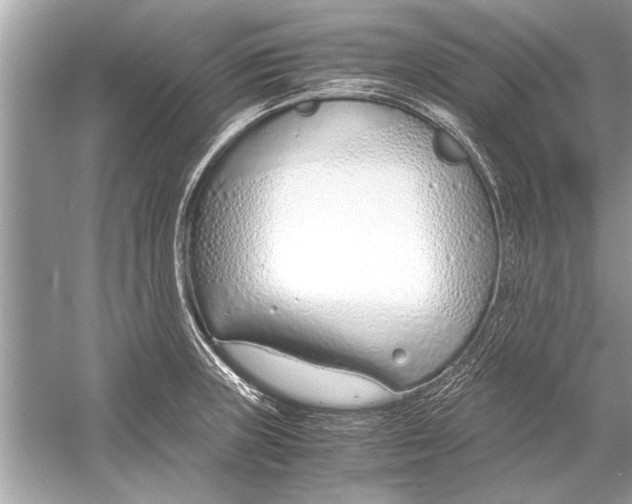 X0000051911235200507222100