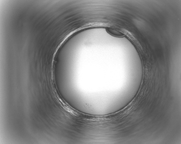 X0000051911236200507222100