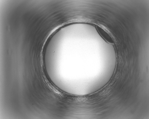 X0000051911238200507222100