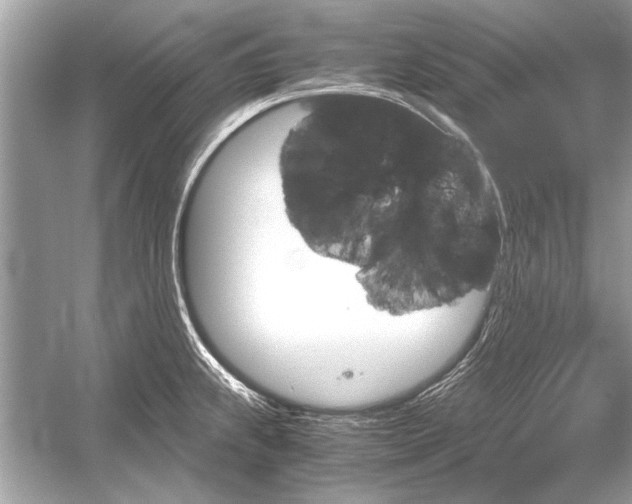 X0000051911239200507222100