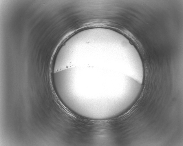 X0000051911240200507222100