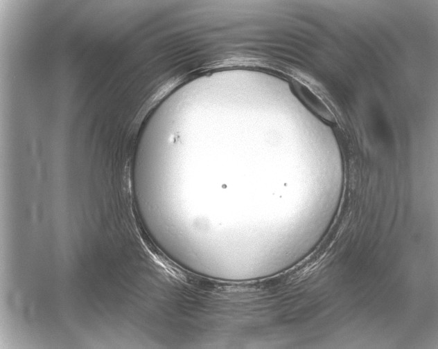 X0000051911241200507222100