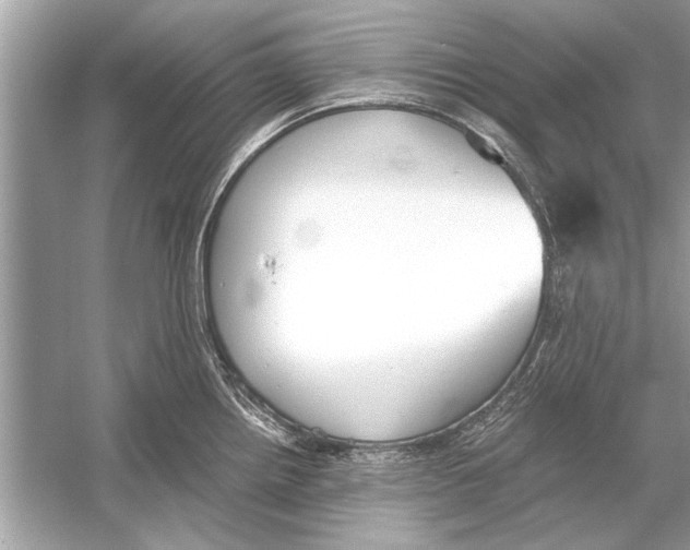 X0000051911242200507222100