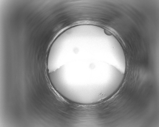 X0000051911244200507222100