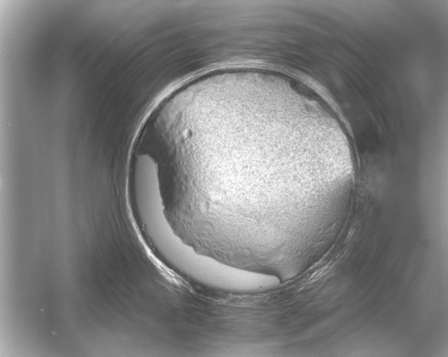 X0000051911245200507222100