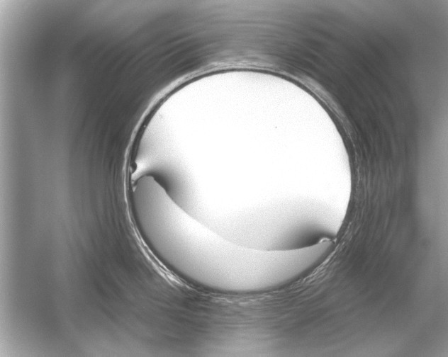 X0000051911246200507222100