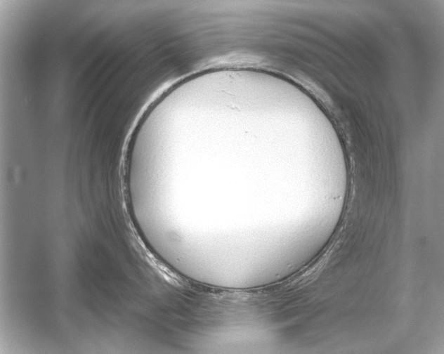 X0000051911248200507222100