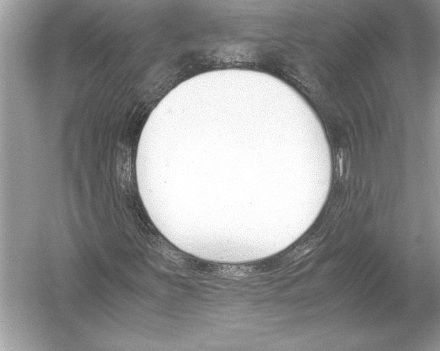 X0000051911251200507222059