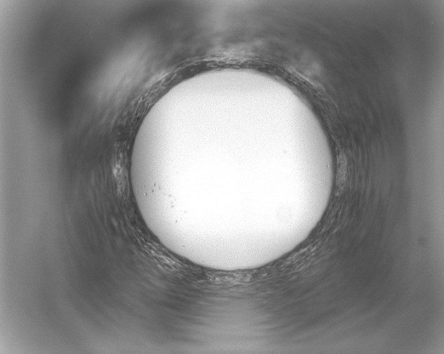 X0000051911254200507222059