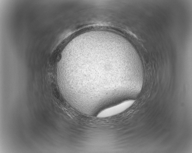 X0000051911255200507222059