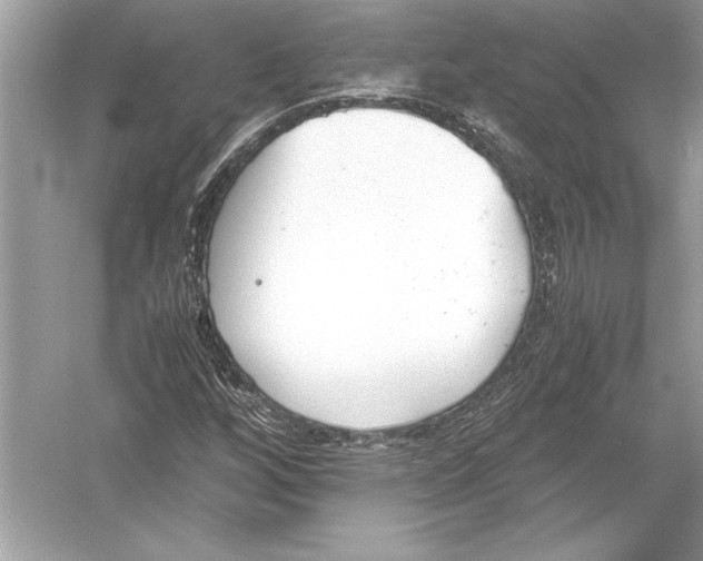 X0000051911256200507222059