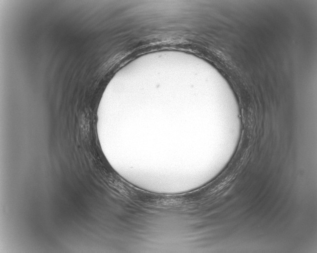 X0000051911257200507222059