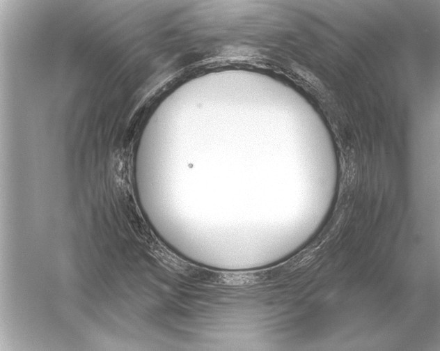 X0000051911258200507222059