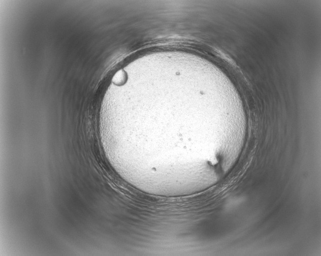 X0000051911259200507222059