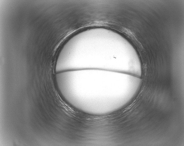 X0000051911260200507222059