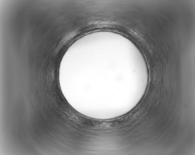 X0000051911261200507222059