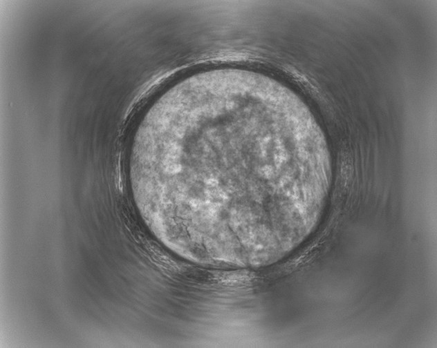 X0000051911262200507222059