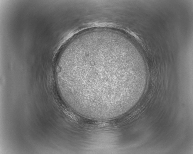 X0000051911263200507222059