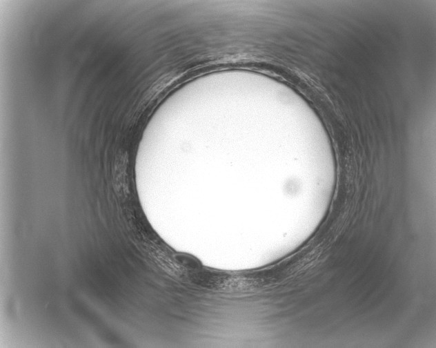 X0000051911265200507222059