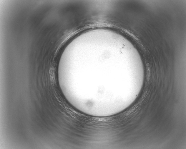 X0000051911266200507222059