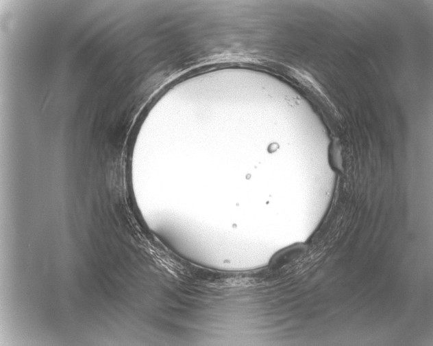 X0000051911268200507222059