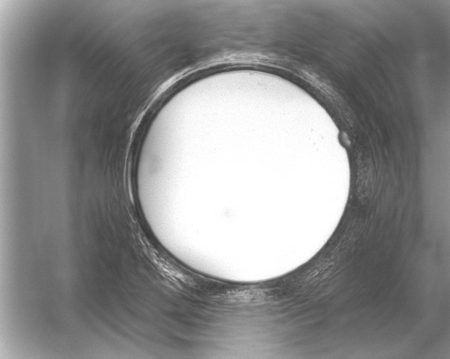 X0000051911272200507222059