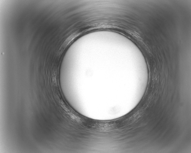 X0000051911273200507222059