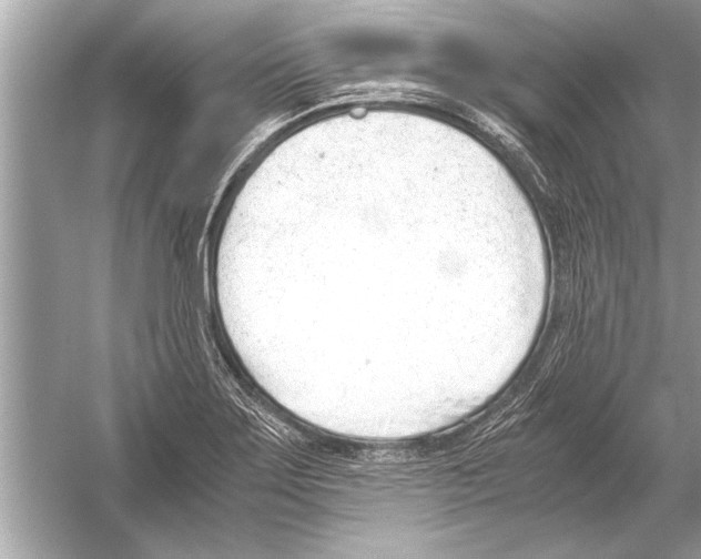 X0000051911275200507222058