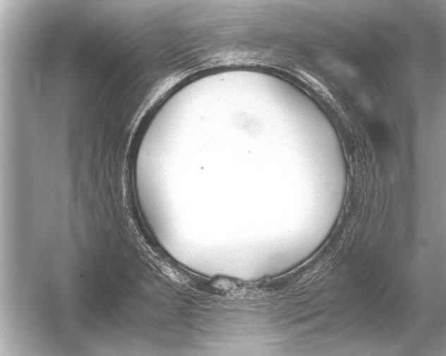 X0000051911277200507222058