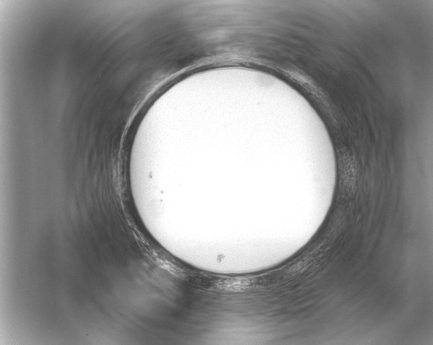 X0000051911278200507222058