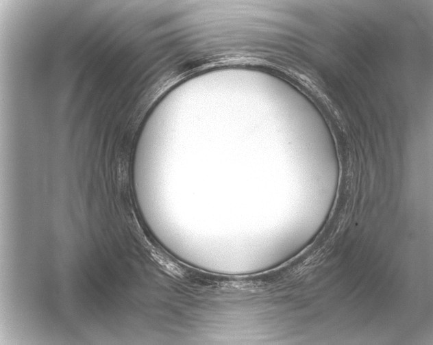 X0000051911281200507222058