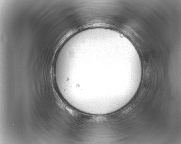 X0000051911282200507222058