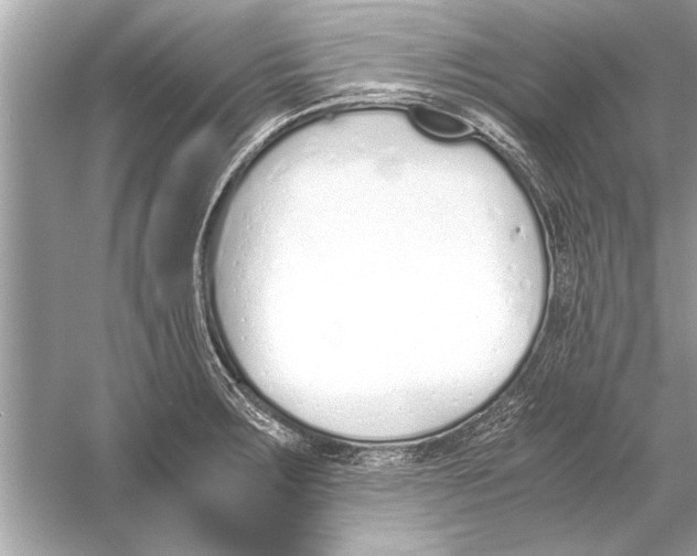 X0000051911283200507222058