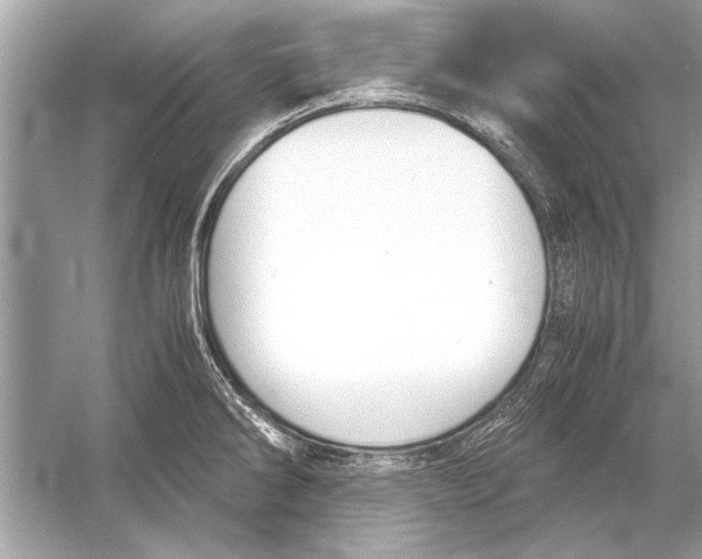 X0000051911286200507222058