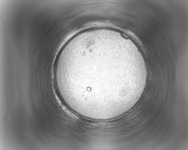 X0000051911287200507222058