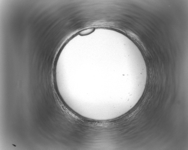 X0000051911288200507222058